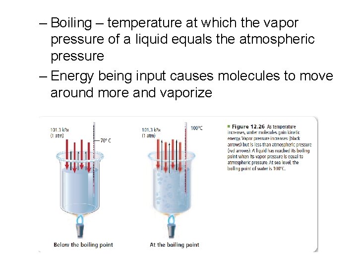 – Boiling – temperature at which the vapor pressure of a liquid equals the