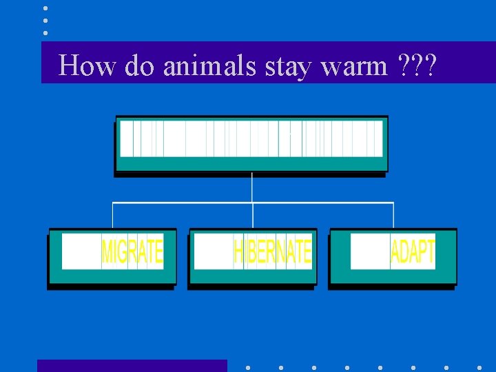 How do animals stay warm ? ? ? 