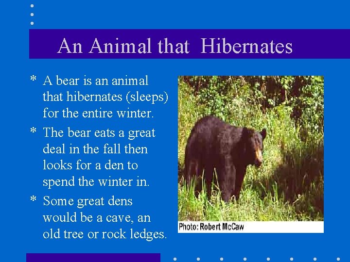 An Animal that Hibernates * A bear is an animal that hibernates (sleeps) for