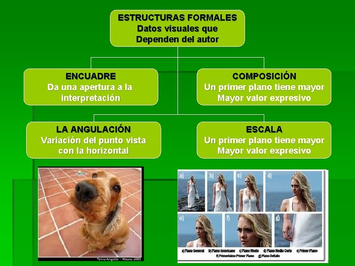 ESTRUCTURAS FORMALES Datos visuales que Dependen del autor ENCUADRE Da una apertura a la