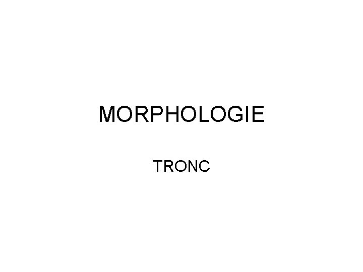 MORPHOLOGIE TRONC 