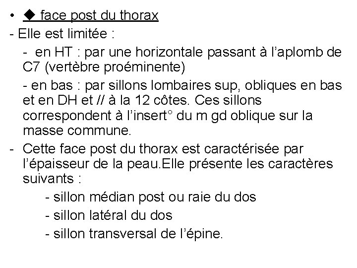  • face post du thorax - Elle est limitée : - en HT