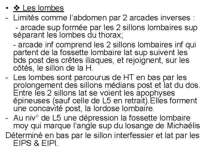  • Les lombes - Limités comme l’abdomen par 2 arcades inverses : -