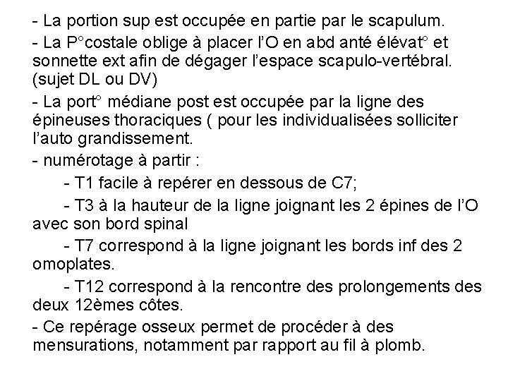 - La portion sup est occupée en partie par le scapulum. - La P°costale