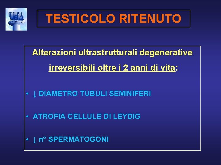 TESTICOLO RITENUTO Alterazioni ultrastrutturali degenerative irreversibili oltre i 2 anni di vita: • ↓