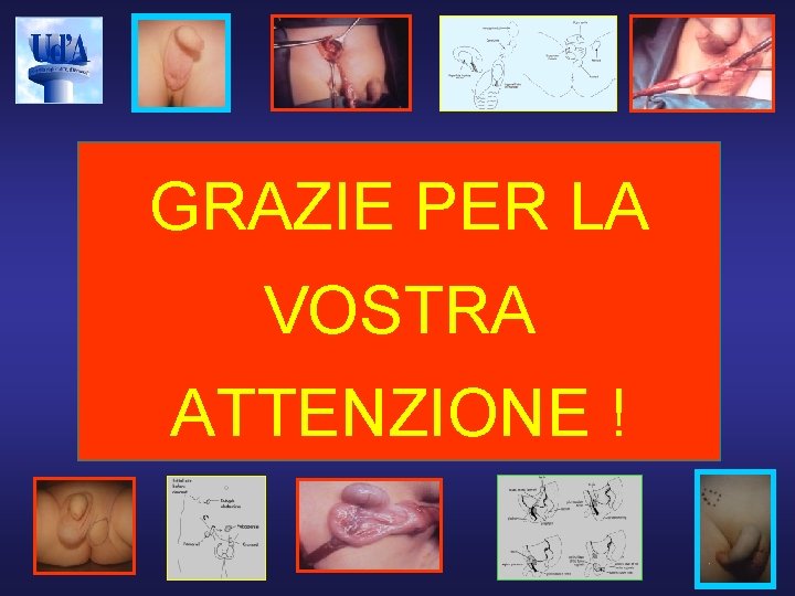 GRAZIE PER LA VOSTRA ATTENZIONE ! 