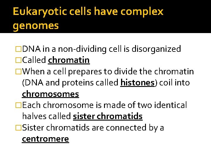 Eukaryotic cells have complex genomes �DNA in a non-dividing cell is disorganized �Called chromatin