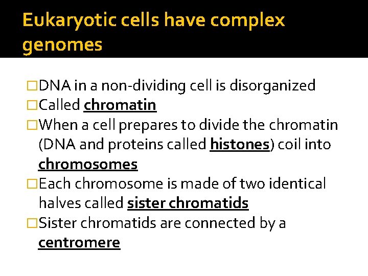 Eukaryotic cells have complex genomes �DNA in a non-dividing cell is disorganized �Called chromatin