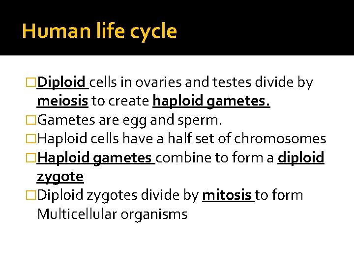 Human life cycle �Diploid cells in ovaries and testes divide by meiosis to create