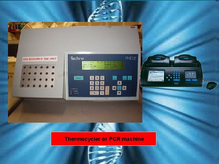 Thermocycler or PCR machine Thermocycler or PCR machine