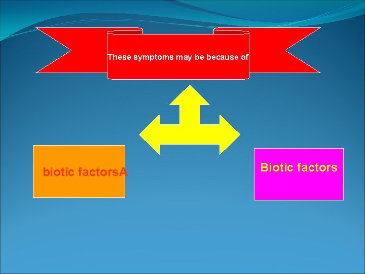 These symptoms may be because of biotic factors. A Biotic factors These symptoms may be because of biotic factors. A Biotic factors