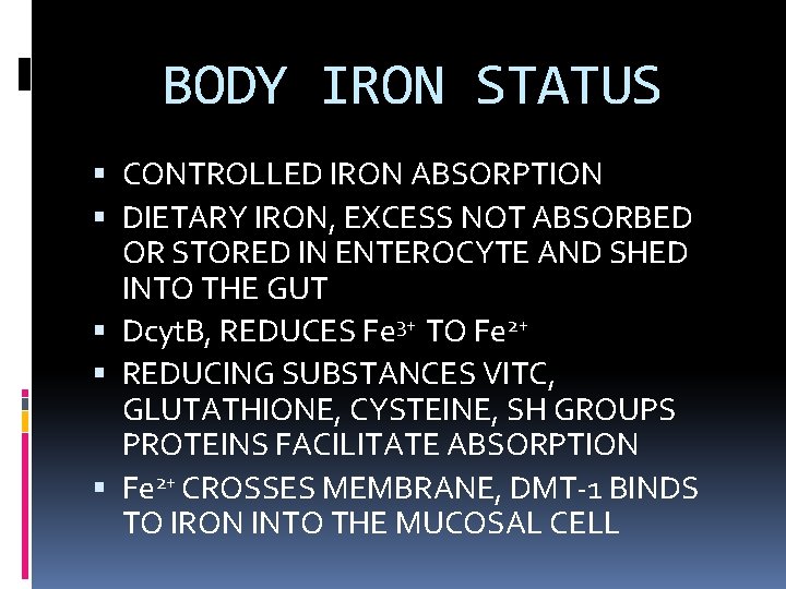 BODY IRON STATUS CONTROLLED IRON ABSORPTION DIETARY IRON, EXCESS NOT ABSORBED OR STORED IN