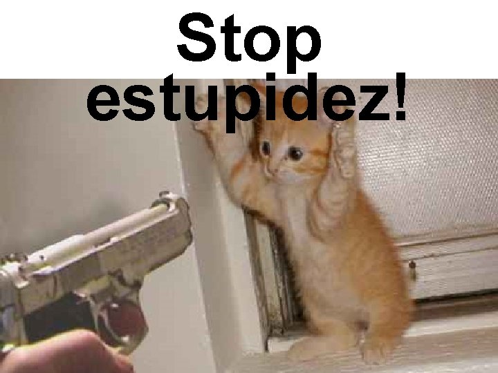 Stop estupidez! 