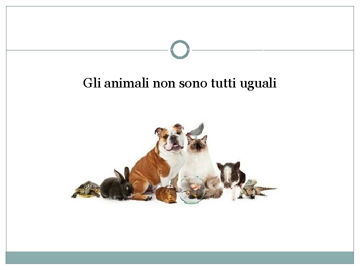 Gli animali non sono tutti uguali 