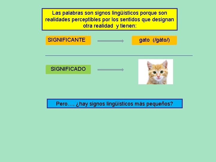 Las palabras son signos lingüísticos porque son realidades perceptibles por los sentidos que designan