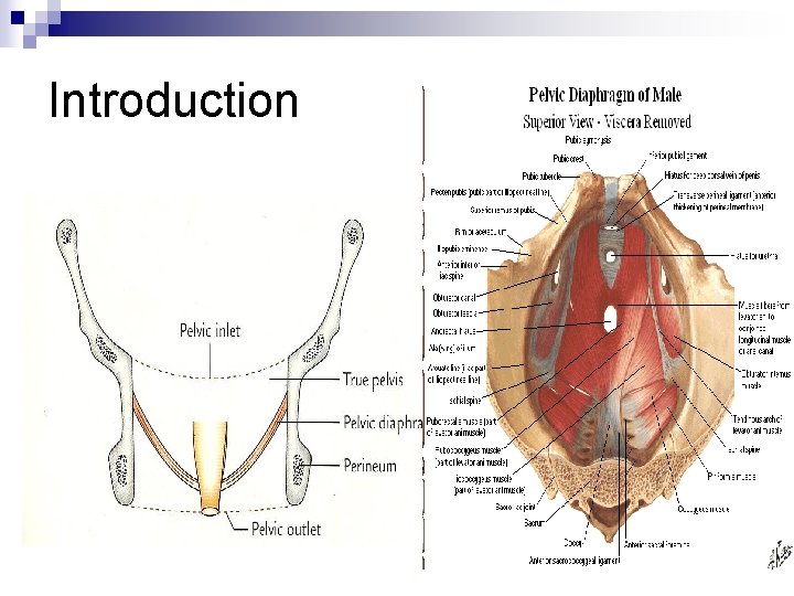 Introduction 