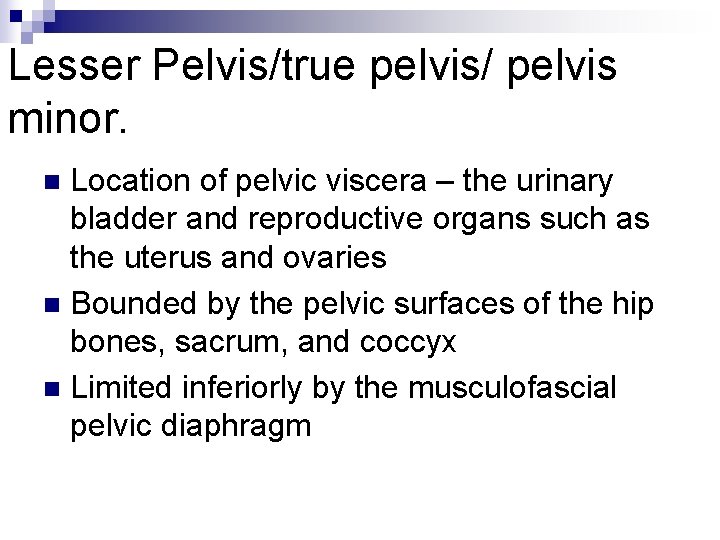 Lesser Pelvis/true pelvis/ pelvis minor. Location of pelvic viscera – the urinary bladder and