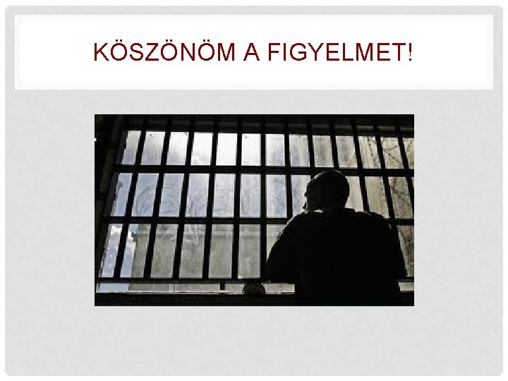 KÖSZÖNÖM A FIGYELMET! 