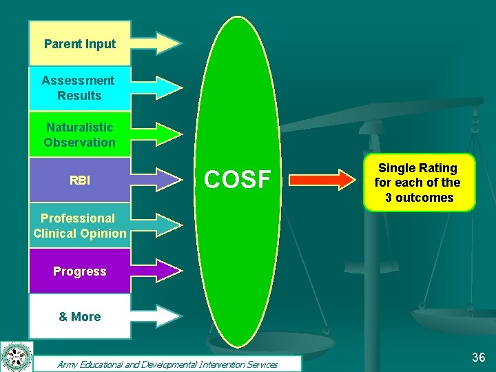 Parent Input Assessment Results Naturalistic Observation RBI COSF Single Rating for each of the