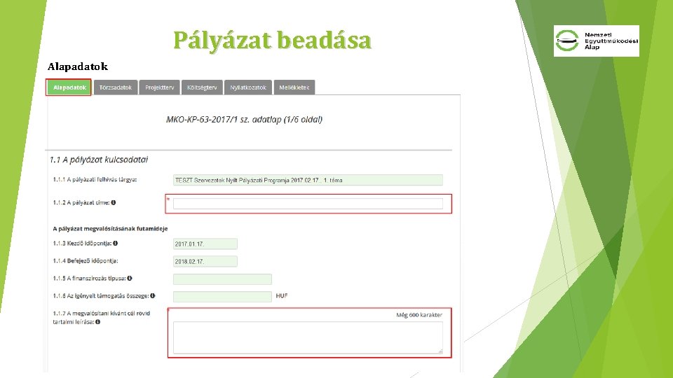 Pályázat beadása Alapadatok 