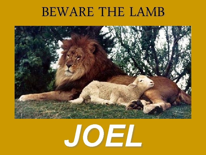 BEWARE THE LAMB JOEL 