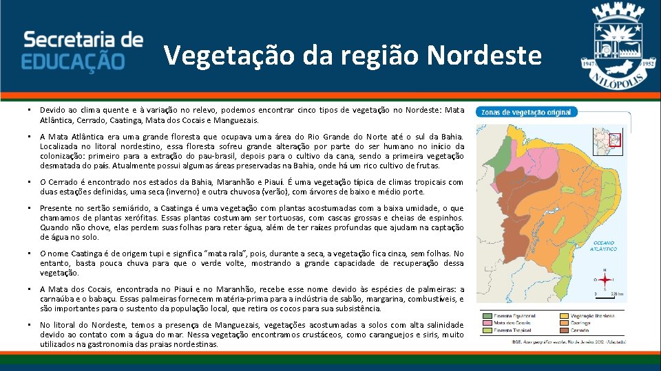 Vegetação da região Nordeste • Devido ao clima quente e à variação no relevo, Vegetação da região Nordeste • Devido ao clima quente e à variação no relevo,