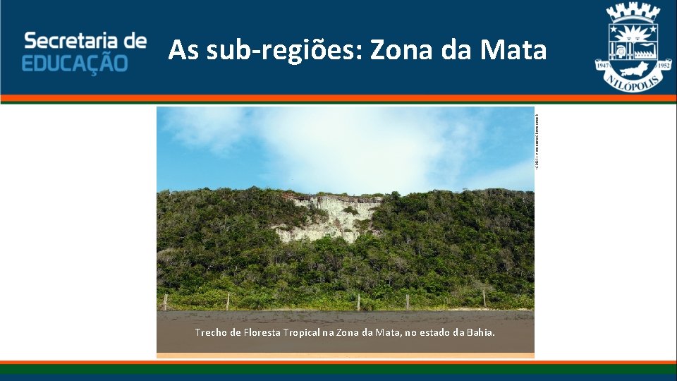 ISMAEL Lima assis/Shutterstock As sub-regiões: Zona da Mata Trecho de Floresta Tropical na Zona ISMAEL Lima assis/Shutterstock As sub-regiões: Zona da Mata Trecho de Floresta Tropical na Zona