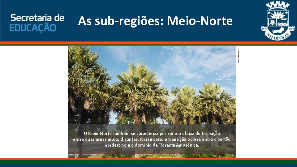 Toa 55/Shutterstock As sub-regiões: Meio-Norte O Meio-Norte também se caracteriza por ser uma faixa Toa 55/Shutterstock As sub-regiões: Meio-Norte O Meio-Norte também se caracteriza por ser uma faixa