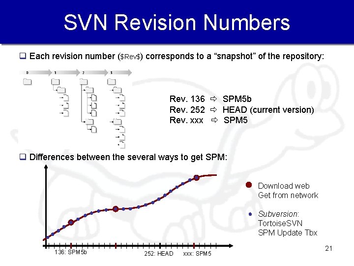 SVN Revision Numbers q Each revision number ($Rev$) corresponds to a “snapshot” of the