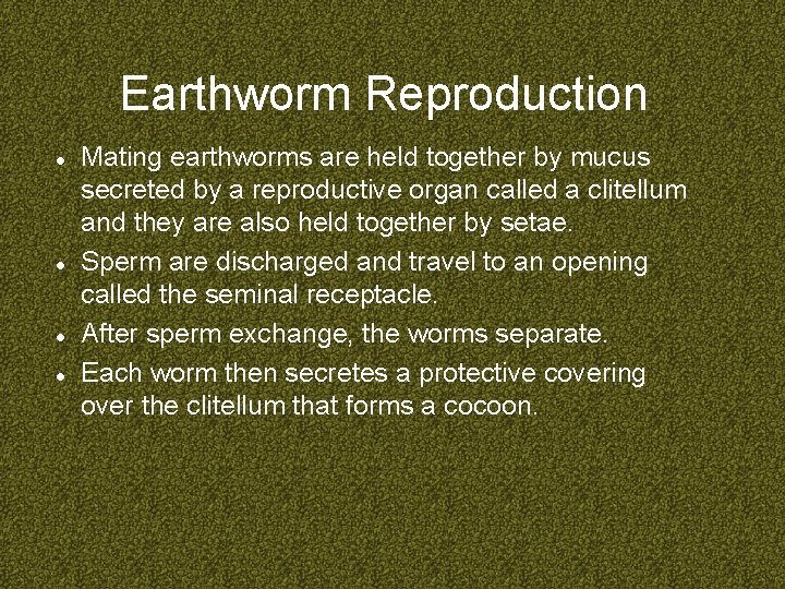 Earthworm Reproduction Mating earthworms are held together by mucus secreted by a reproductive organ