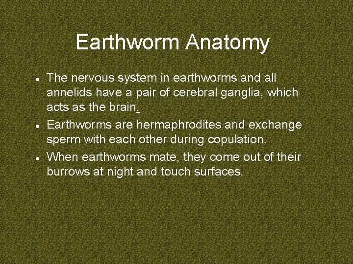 Earthworm Anatomy The nervous system in earthworms and all annelids have a pair of