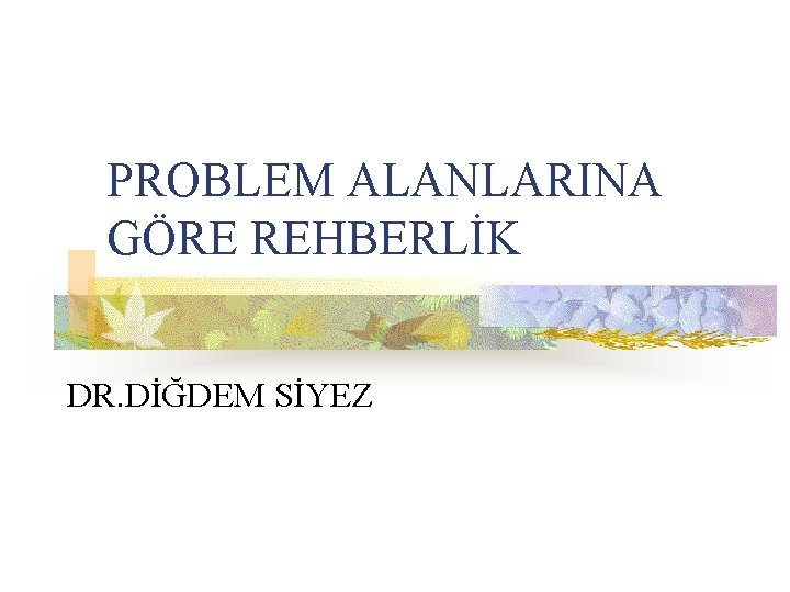 PROBLEM ALANLARINA GÖRE REHBERLİK DR. DİĞDEM SİYEZ 