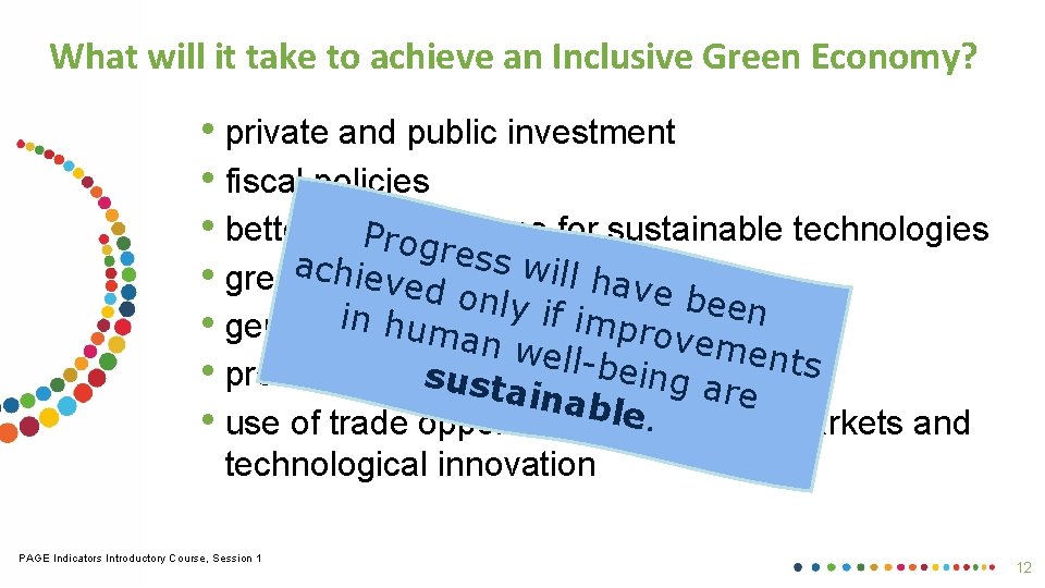 What will it take to achieve an Inclusive Green Economy? • private and public