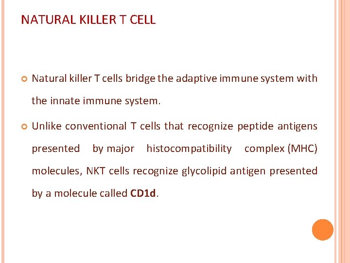 NATURAL KILLER T CELL Natural killer T cells bridge the adaptive immune system with