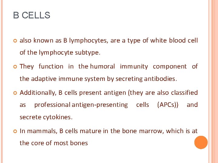 B CELLS also known as B lymphocytes, are a type of white blood cell