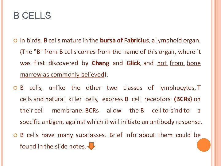 B CELLS In birds, B cells mature in the bursa of Fabricius, a lymphoid
