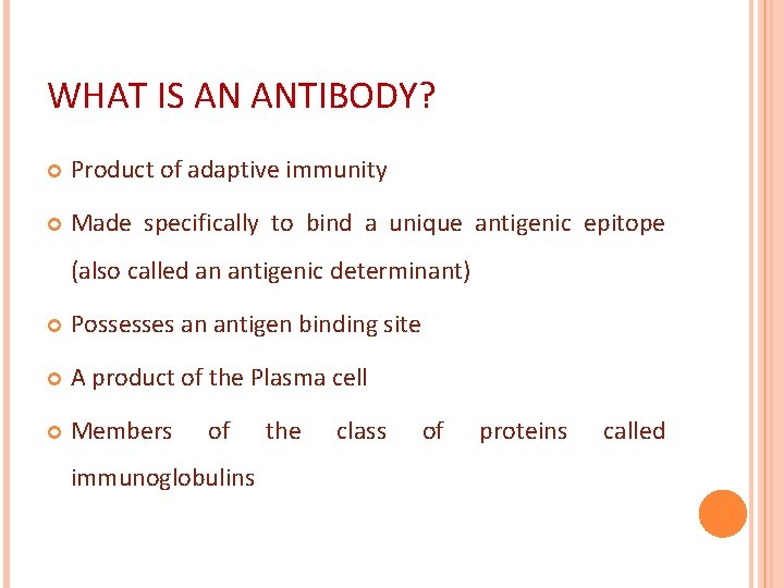 WHAT IS AN ANTIBODY? Product of adaptive immunity Made specifically to bind a unique