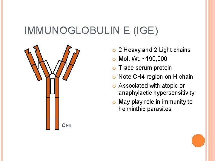 IMMUNOGLOBULIN E (IGE) CH 4 2 Heavy and 2 Light chains Mol. Wt. ~190,