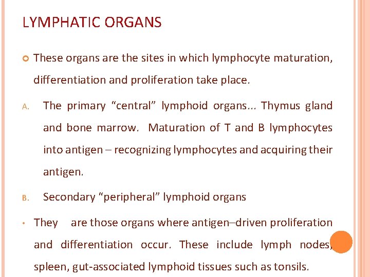 LYMPHATIC ORGANS These organs are the sites in which lymphocyte maturation, differentiation and proliferation