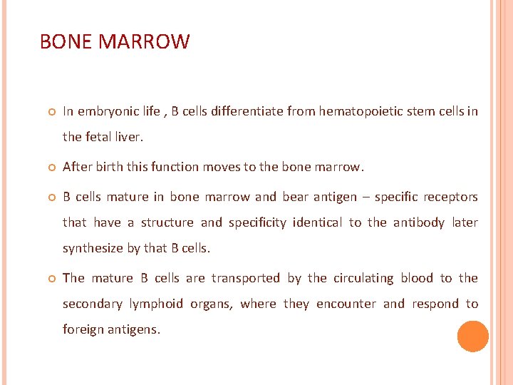 BONE MARROW In embryonic life , B cells differentiate from hematopoietic stem cells in