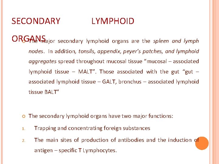 SECONDARY LYMPHOID ORGANS The major secondary lymphoid organs are the spleen and lymph nodes.