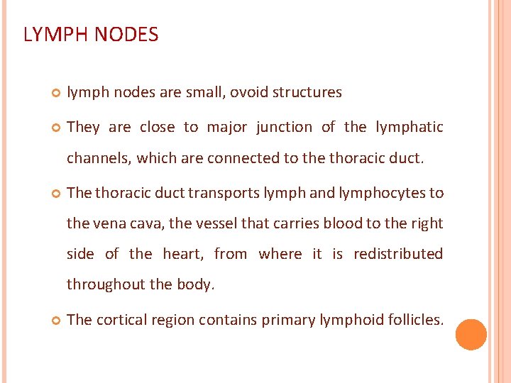 LYMPH NODES lymph nodes are small, ovoid structures They are close to major junction