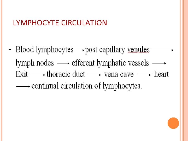 LYMPHOCYTE CIRCULATION 