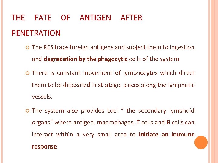 THE FATE OF ANTIGEN AFTER PENETRATION The RES traps foreign antigens and subject them