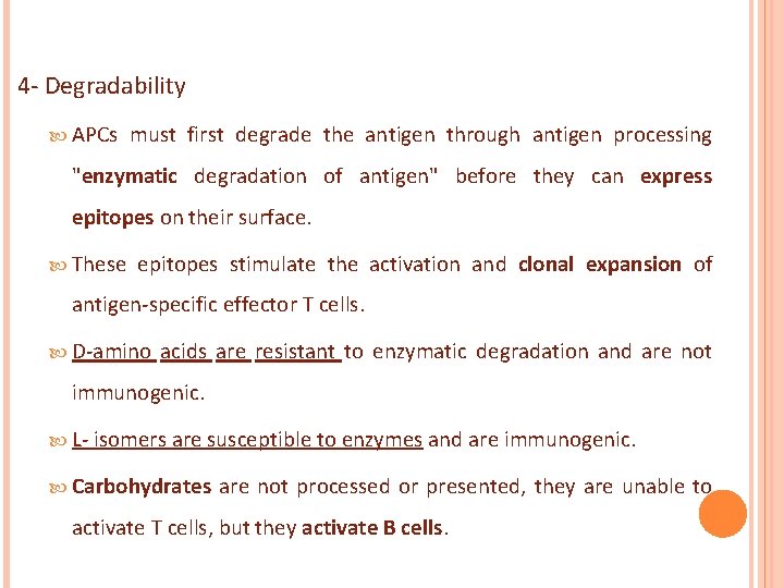4 - Degradability APCs must first degrade the antigen through antigen processing "enzymatic degradation