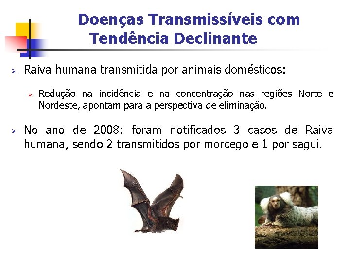 Doenças Transmissíveis com Tendência Declinante Ø Raiva humana transmitida por animais domésticos: Ø Ø