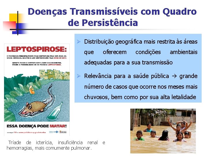 Doenças Transmissíveis com Quadro de Persistência Ø Distribuição geográfica mais restrita às áreas que