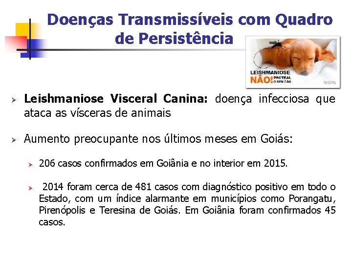 Doenças Transmissíveis com Quadro de Persistência Ø Ø Leishmaniose Visceral Canina: doença infecciosa que