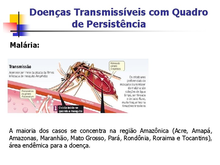 Doenças Transmissíveis com Quadro de Persistência Malária: A maioria dos casos se concentra na