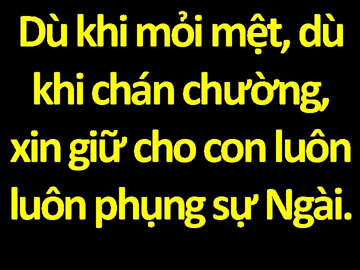 Dù khi mỏi mệt, dù khi chán chường, xin giữ cho con luôn phụng